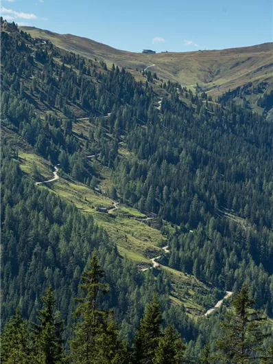 Bramberg: 4D Mühlbachtal