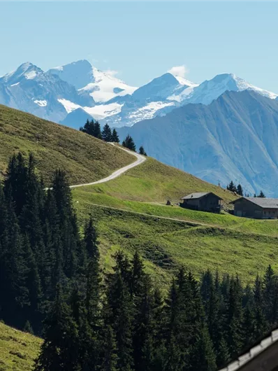 Bramberg: 4F Baumgartenalm - Geisl-Hochalm - Bergstation Wildkogelbahn