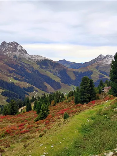 Bramberg: 4F Baumgartenalm - Geisl-Hochalm - Bergstation Wildkogelbahn