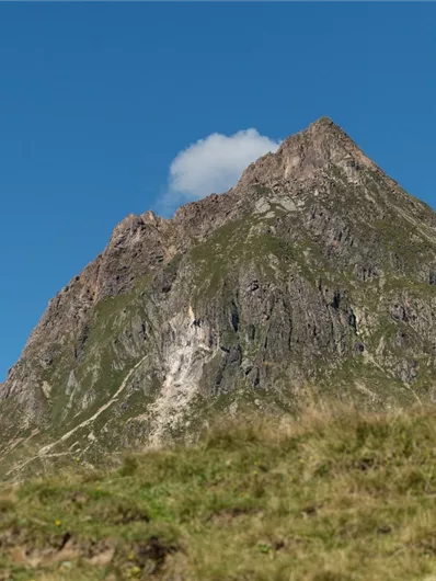 Bramberg: 4G Baumgartenalm - Flecklalm -Bergstation Wildkogelbahn
