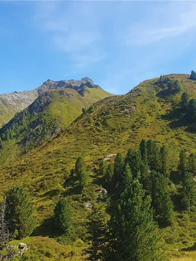 Bramberg: Habach - Schönbach - Wildalm