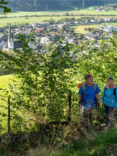 Bramberg: Höhenwanderweg Breitmoos