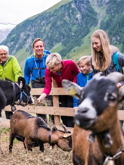 Bramberg: Karalm
