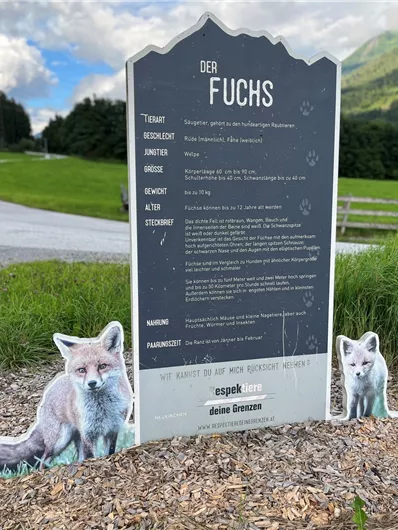 Fuchs