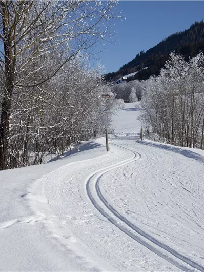 Herrliches Ausdauertraining - Langlauf inmitten unberührter Natur