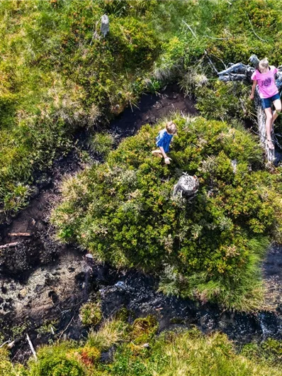 Bramberg: Kargrundalm