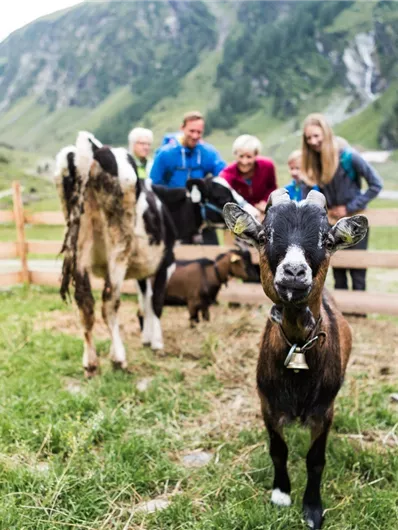 Bramberg: Kargrundalm