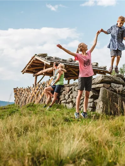 Bramberg: Kargrundalm