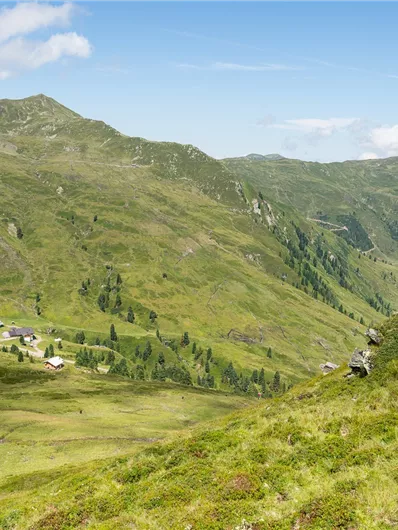 Landschaft