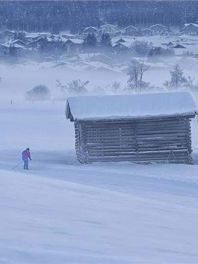 Langlaufen in herrlich ruhiger und traumhaft verschneiter Winterlandschaft