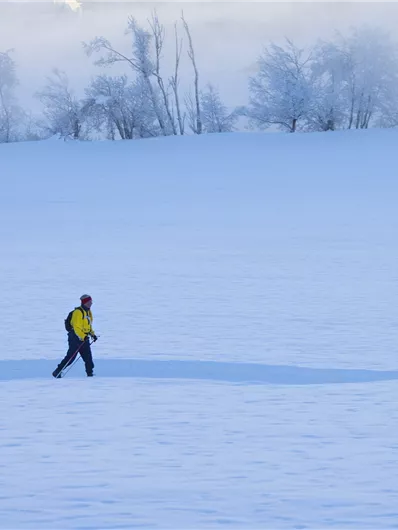Langlaufen klassisch oder skating - Loipe Neudau