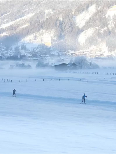 Langlaufen Loipe Schönbach