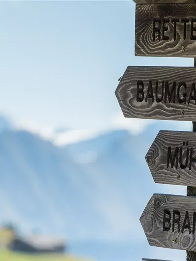 Neukirchen: 3G, 3D, 4F, 4D, 4B, 4A, Neukirchen - Wildkogel - Baumgartenalm