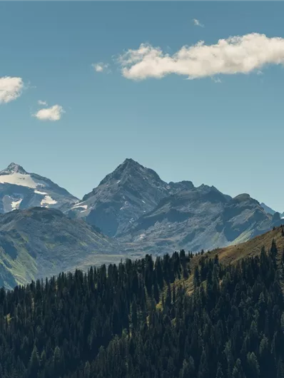 Neukirchen: 3G, 3D, 4F, 4D, 4B, 4A, Neukirchen - Wildkogel - Baumgartenalm
