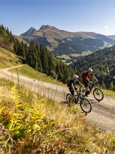 Neukirchen: 3G, 3D, 4K, 4B, 4A, Bike-Trail Wildkogel