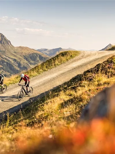 Neukirchen: 3G, 3D, 4K, 4B, 4A, Bike-Trail Wildkogel