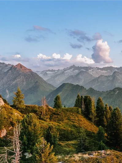 Neukirchen: 3H - Wildalm