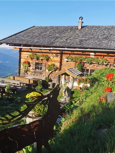 Neukirchen: 3H - Wildalm