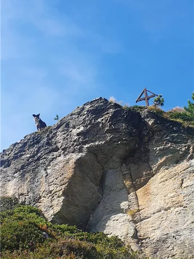 Neukirchen: 3H - Wildalm