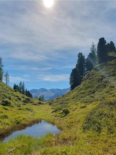 Neukirchen: 3H - Wildalm