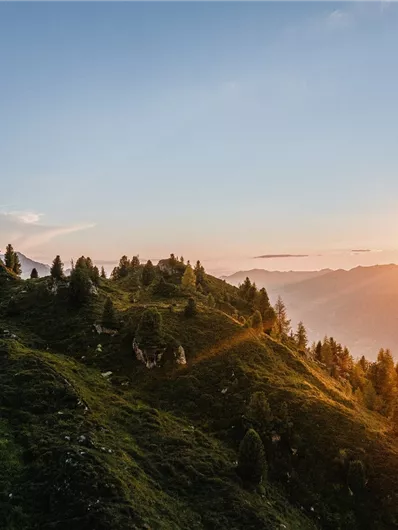 Neukirchen: 3H - Wildalm