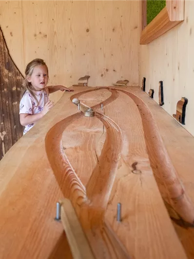 Neukirchen: Adler Toni Erlebnisweg