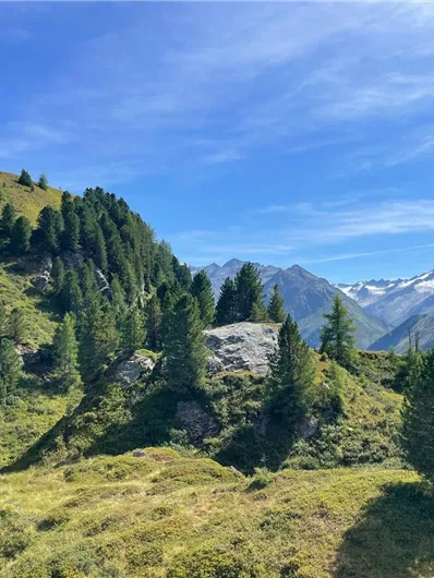 Neukirchen: Ascham - Wildalm