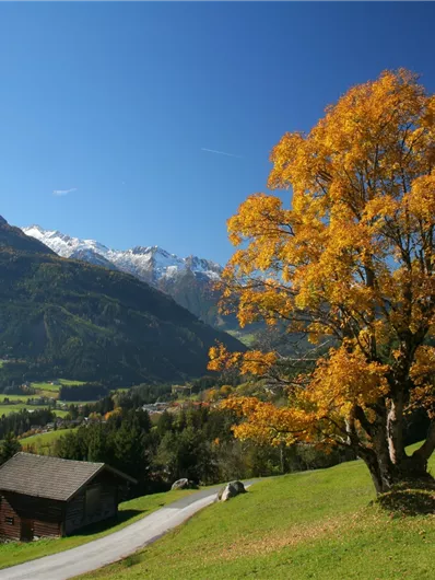 Neukirchen: Neukirchen-Abelhof-Ruine Hieburg-Neukirchen