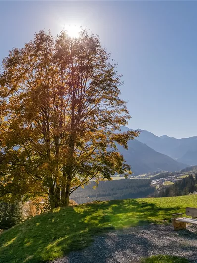 Neukirchen: Neukirchen-Abelhof-Ruine Hieburg-Neukirchen