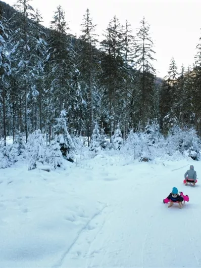 Neukirchen: Rodelbahn Blausee