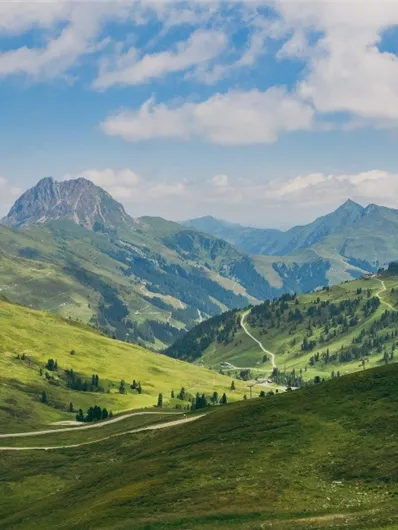 Neukirchen: 3G, 3D, 4G, 4F, Rundweg Neukirchen - Geisl-Hochalm über Haferlalm