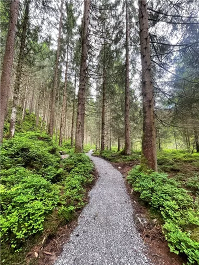 Neukirchen: Vom Obersulzbachtal ins Untersulzbachtal