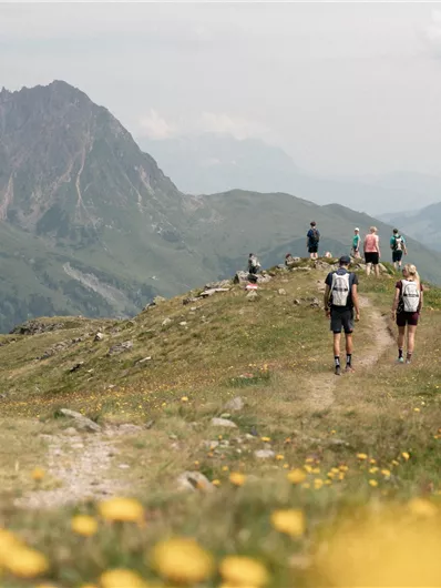 Neukirchen: Walsbergalm-Rundweg