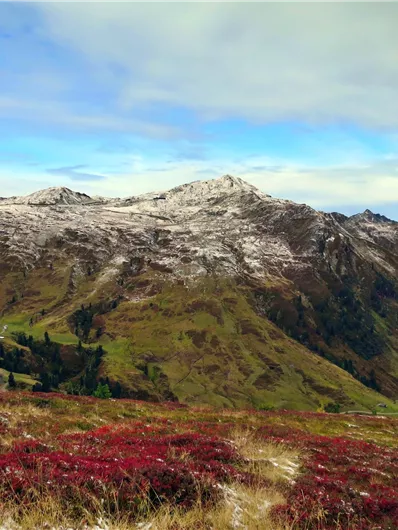 Neukirchen: Bergstation Wildkogelbahn - Frühmesser - Steineralm