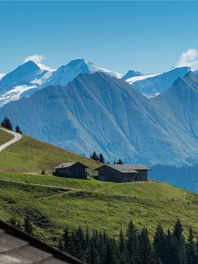 Resterhöhe - Baumgartenalm