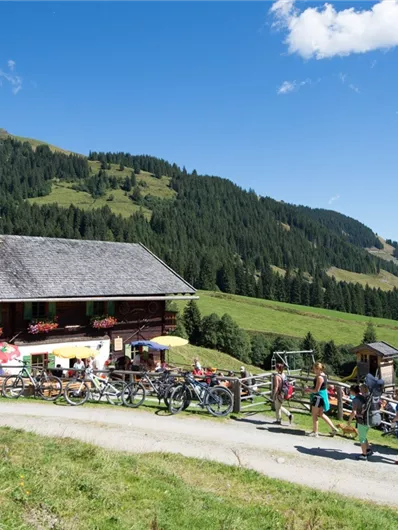 Resterhöhe - Baumgartenalm