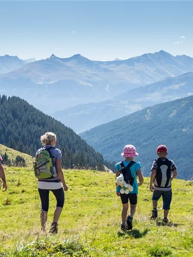 Resterhöhe - Baumgartenalm