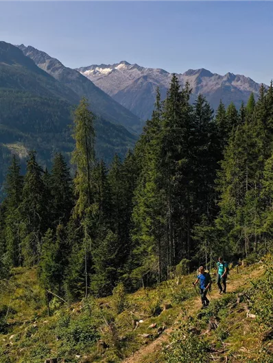 Sonnenweg in Neukirchen