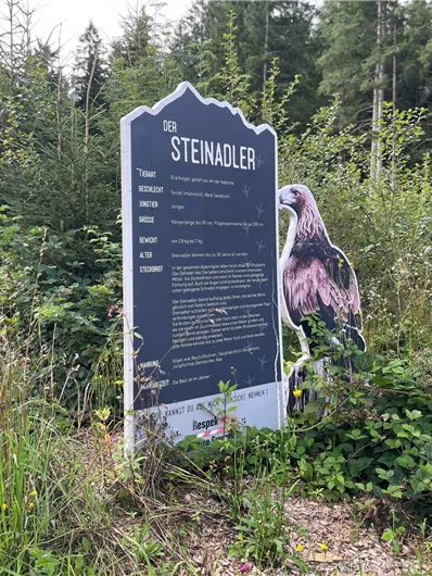 Steinadler