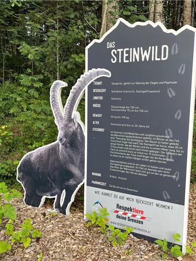 Steinbock