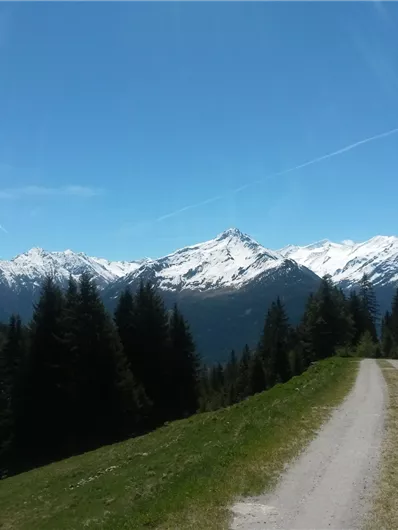 Weg von der Steineralm in Richtung Neukirchen