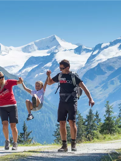 Weg von der Steineralm in Richtung Neukirchen