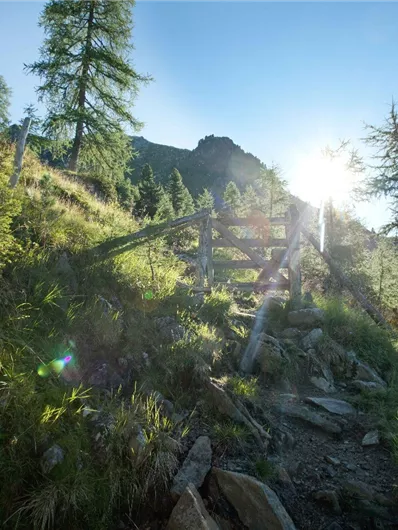 Weg zum Zwölferkogel