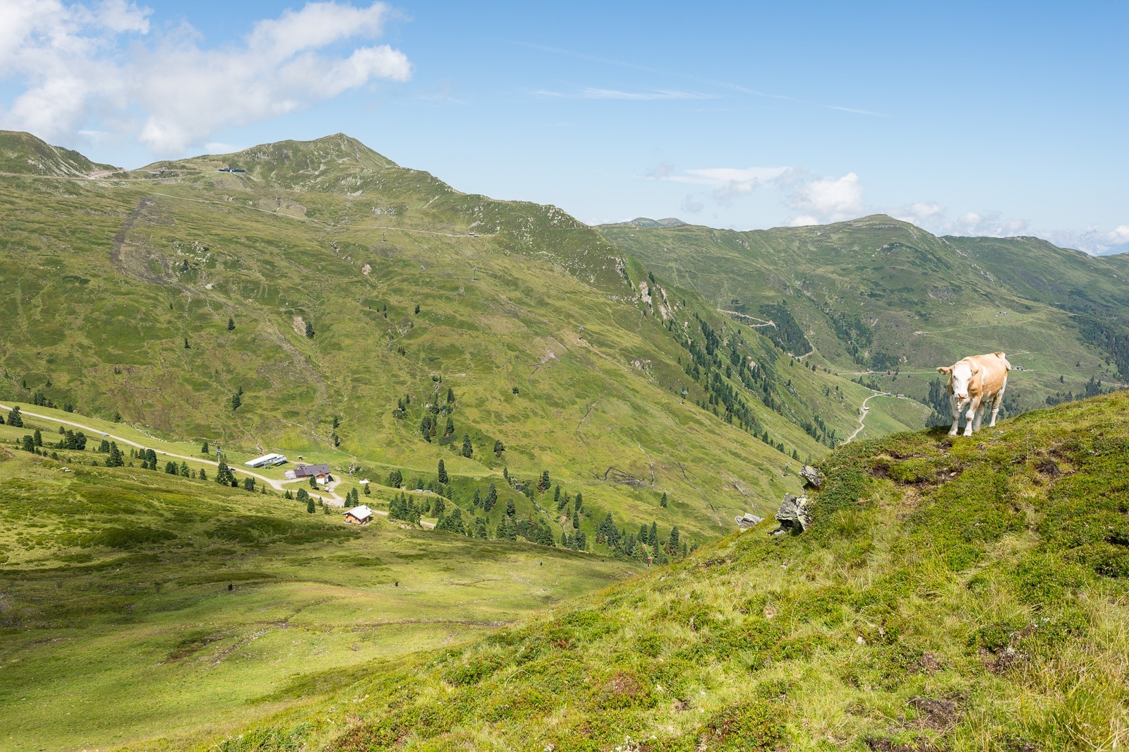 Neukirchen: Geislalmweg