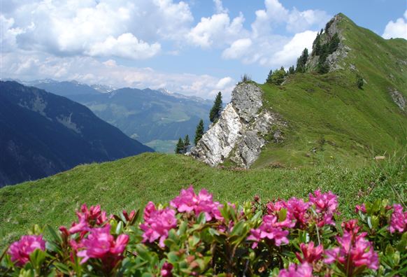 Bettlersteig