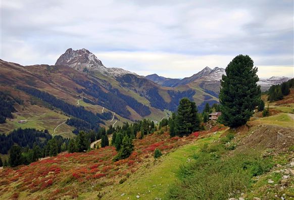 Bramberg: 4F Baumgartenalm - Geisl-Hochalm - Bergstation Wildkogelbahn