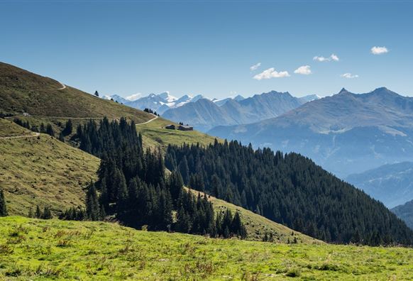 Bramberg: 4G Baumgartenalm - Flecklalm -Bergstation Wildkogelbahn