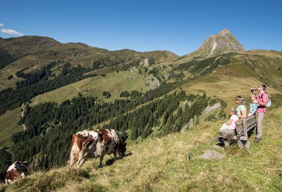 Bramberg: 4I Plattwald