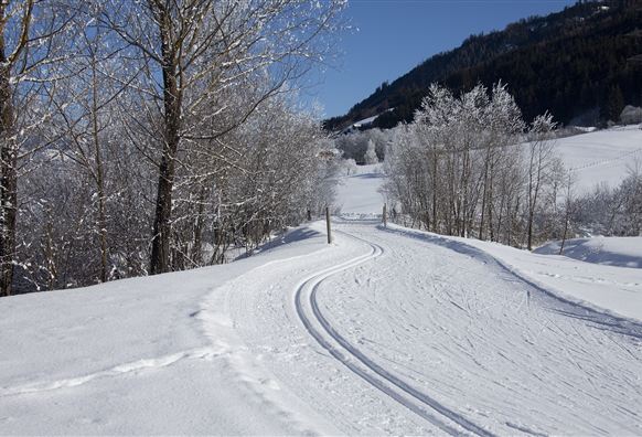 Herrliches Ausdauertraining - Langlauf inmitten unberührter Natur