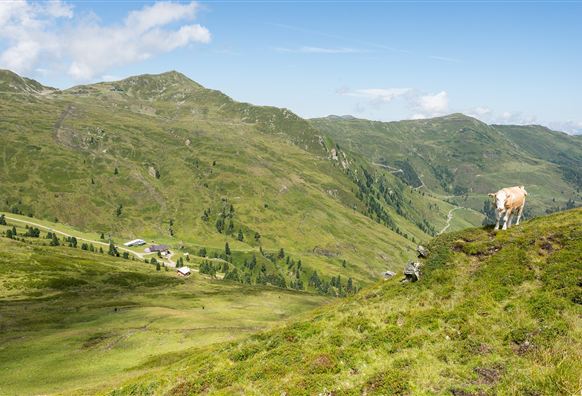 Landschaft
